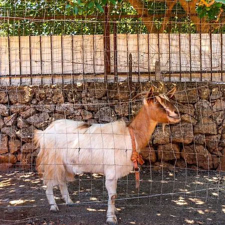 Relax Due * Galatone