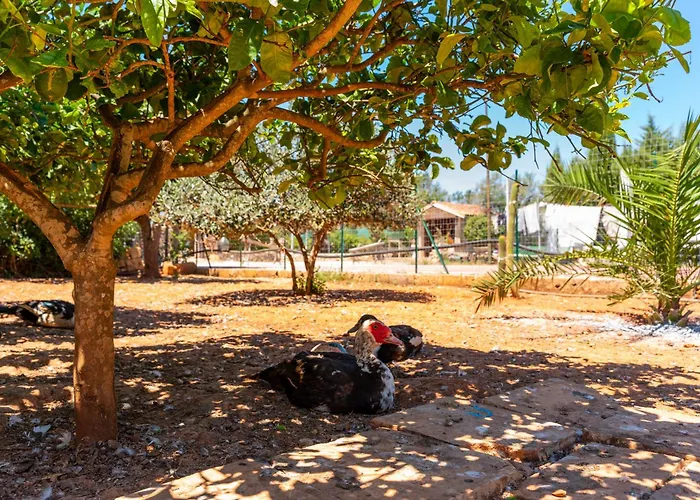 בית נופש Relax Due