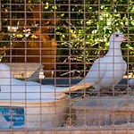 Relax Due Vakantiehuis Galatone